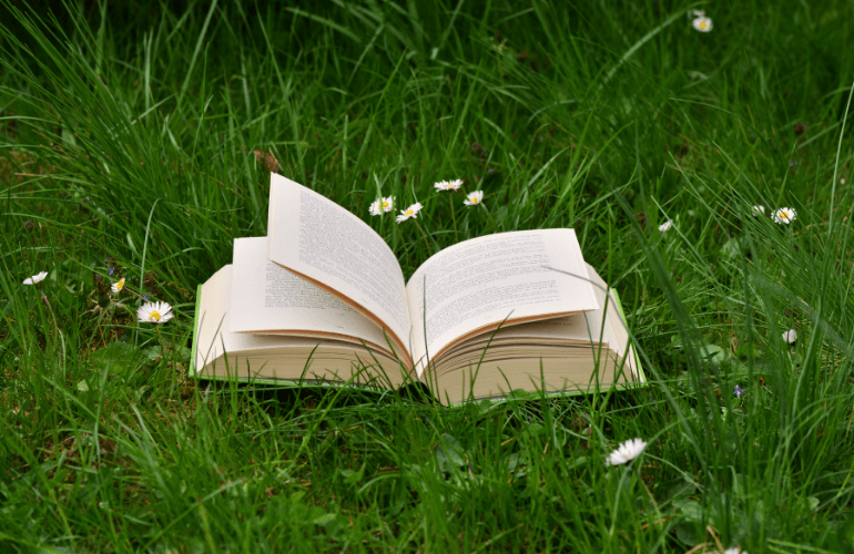 Ce înseamnă photoreading