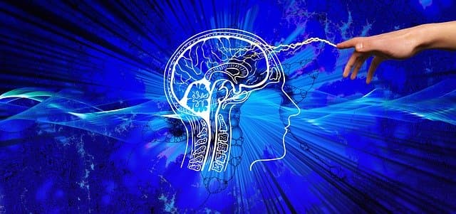 Teoriile învățării văzute din perspectivă psihologică