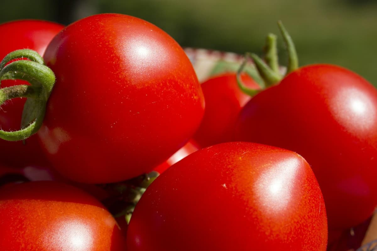Time Management: Tehnica Pomodoro