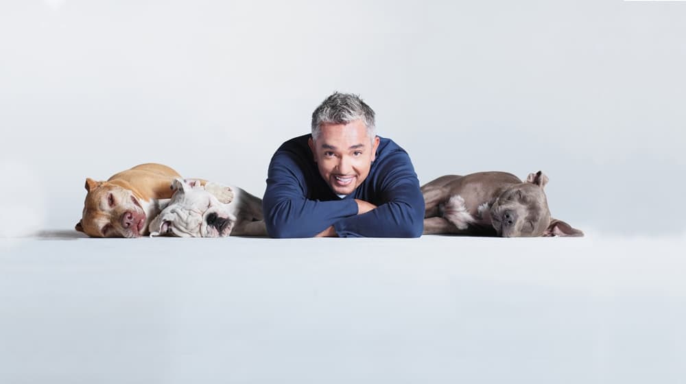 Rețetă de leadership de la Cesar Millan