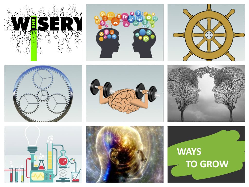 Un nou concept: The Wisery's Labs