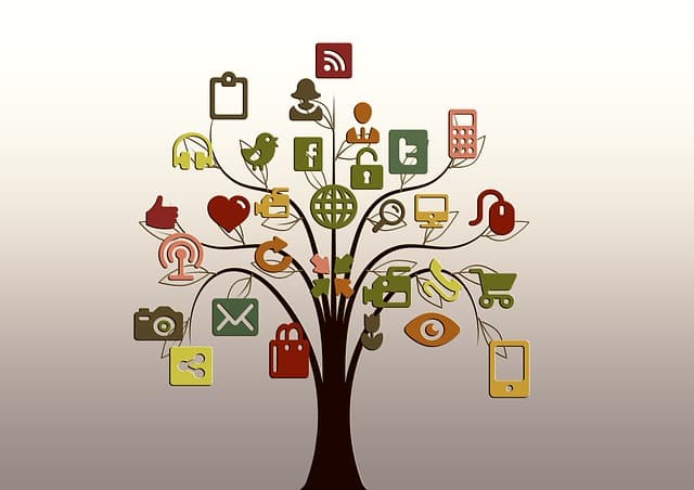 Unde trebuie sa iti concentrezi eforturile de social media in 2015?