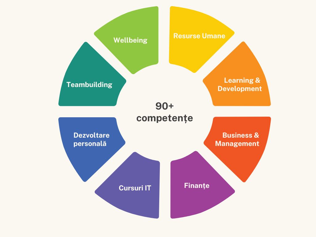 Echipa Learning Network