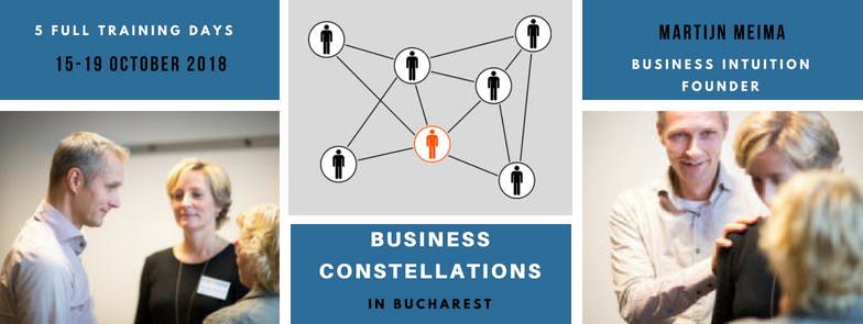 Business Constellations Training