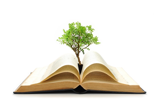 Abilitati Avansate de Management si Leadership