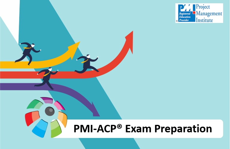 PMI-ACP® Exam Preparation, Colors in Projects
