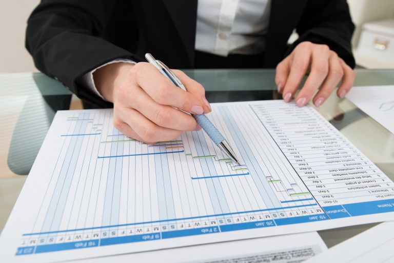Manager de proiect - acreditat ANC, Schultz Development