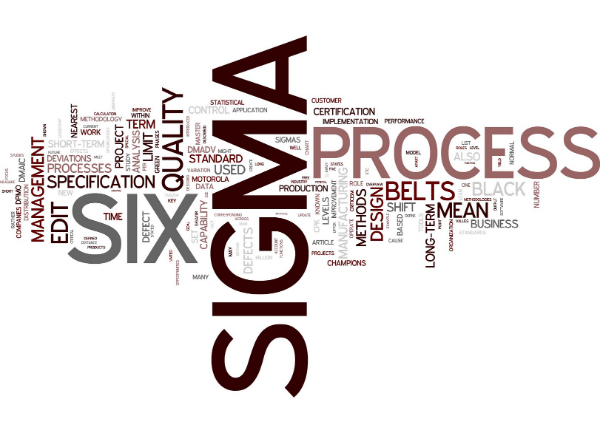 Lean Six Sigma Black Belt