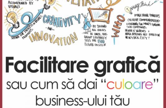 Curs: Facilitare Grafica