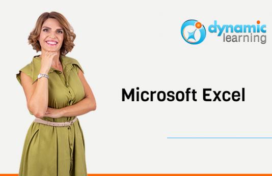 Curs Microsoft EXCEL, Dynamic Learning