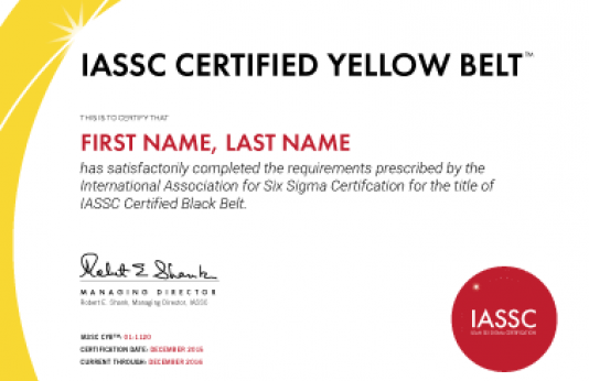 Curs „Lean Six Sigma Yellow Belt” - CODECS, București