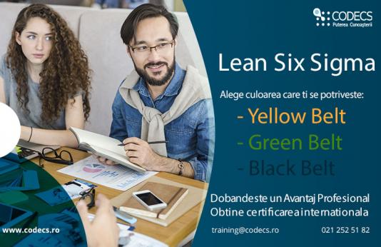 Lean Six Sigma Black Belt