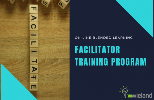 Blended Facilitator training program