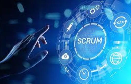 scrub master