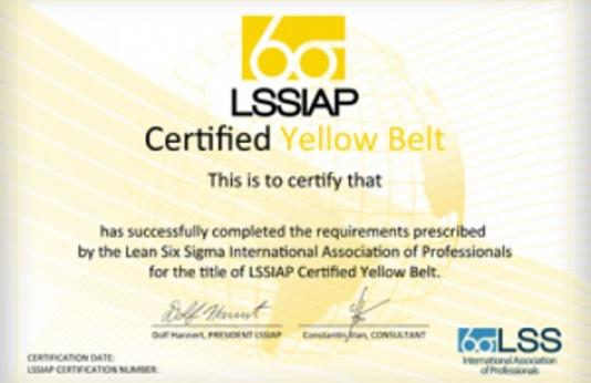 Lean Six Sigma - Programe de Certificare Internaţională