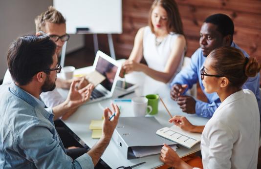 Curs „Managementul Proiectelor - fundamente”, Exec Edu, București