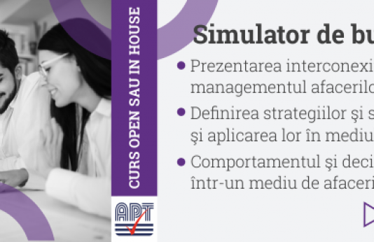 Simulator de business - TOPSIM