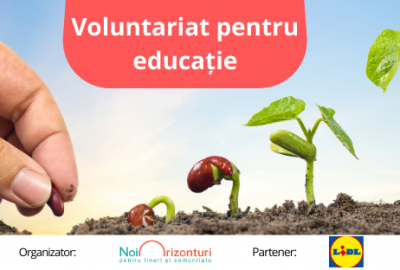 Voluntariat pentru Educatie