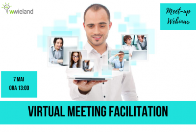 Virtual Meeting Facilitation Webinar
