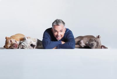 Rețetă de leadership de la Cesar Millan